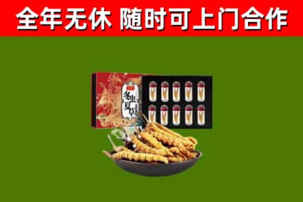 振安烟酒回收冬虫夏草礼盒.jpg